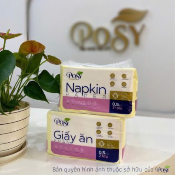 Giấy gấp 240 cao cấp POSY 0.5kg 5